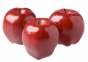 на СВХ ООО «Автологистика»  запрещен ввоз двух партий подкарантинной продукции - яблоки свежие поступившей из Польши