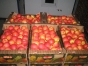 278 тонн Польских яблок запрещены к ввозу в Московский регион