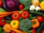 В Тульской области выявлены семена 54 сортов овощей не включенных в Госреестр