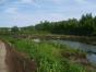 В Солнечногорском районе почва загрязнена нефтепродуктами