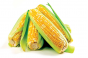 Более 50 тонн семян кукурузы поступили в реализацию не пройдя фитосанитарный контроль