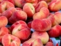 Более 55 тонн фруктов поступило на территорию РФ, но с нарушениями порядка ввоза продукции