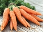 Более 40 тонн моркови и винограда поступили с нарушениями 