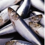 Около 30 тон рыбы и рыбной продукции из Дании, Сербии и Норвегии поступило с различными нарушениями решения Таможенного союза