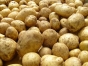О ситуации с поставками продовольственного картофеля