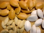 Тульские предприниматели засеяли 200га семенами неустановленного фитосанитарного состояния