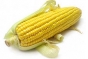 В Наро-Фоминском районе использовали для посева кукурузу неустановленного фитосанитарного состояния