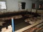 В Раменском районе установлен факт незаконного содержания свиней