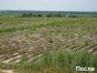 5 га сельхозугодий возвращено в сельхозоборот в Клинском районе Московской области