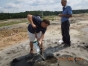 Загрязнение почвы солями тяжелых металлов выявлено в Люберецком районе Подмосковья