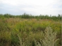 Нарушение земельного законодательства выявлено в Можайском районе Московской области