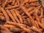 20 тонн зараженной моркови обнаружено в ходе повторного фитосанитарного обследования рынка