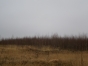 Зарастание земельных участков сорной растительностью выявлено в Алексинском районе Тульской области