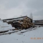 В Орехово-Зуевском районе за нарушения в сфере карантина растений оштрафовано предприятие, занимающееся переработкой древесины
