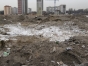 В Пушкинском районе обнаружен участок сельскохозяйственного назначения, используемый под свалку