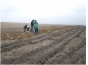 В результате земельных работ в Дубенском районе пострадал плодородный слой почвы