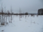 Зарастание сельхозугодий сорной растительностью выявлено на земельных участках в Талдомском районе Подмосковья