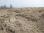 Тульская организация привлечена к ответственности за размещение на пахотных почвах экологически опасных иловых отложений