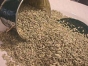 Уничтожена партия  зараженных повиликой семян зиры, ввозимая в ручной клади пассажира из Узбекистана