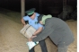 Предприятие оштрафовано за непроведение фитосанитарного обследования склада для хранения зерна