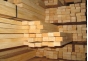 В Шатурском районе заготовка древесины осуществлялась с нарушениями законодательства