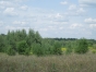 Сорная растительность обойдется тульскому собственнику сельхозугодий в полмиллиона рублей