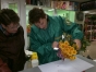 В Тульском магазине выявлена и уничтожена продукция растительного происхождения, зараженная цветочным трипсом
