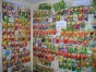 О нарушениях при реализации пакетированных семян, выявленных проверкой в городе Мытищи