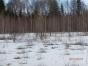 Обследование земель в Солнечногорском районе выявило нарушения в сфере земельного законодательства и фитосанитарии