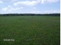 О выполнении требований земельного законодательства на сельхозземлях в Чеховском районе