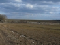 Администрацию муниципального образования в Тульской области обязали устранить свалку с сельхозземель