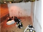 Об ответственности за нарушения в сфере ветеринарии на молочно-товарных фермах в Клинском районе