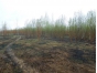 О выявлении зарастающего сорной растительностью земельного участка в Тульской области 