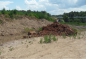 О проверке, выявившей нарушение плодородного слоя почвы на земельном участке в Химкинском районе