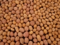 Проверка главы тульского КФХ выявила нарушения правил использования семян сельскохозяйственных культур