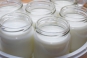 О причинах приостановления оформления партии йогуртов, прибывших из Швейцарии