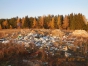 Об обнаружении очередной свалки на сельхозземлях в Солнечногорском районе