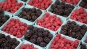 О пресечении попытки ввоза 2,88 тонн ягод свежих из Мексики