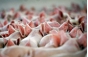 О нарушениях ветеринарного законодательства, выявленных на предприятии, занимающимся оборотом свинины