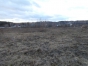 О судебном решении по делу о невыполнении предписания на земельных участках в Солнечногорском районе
