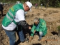 Об участии сотрудников Управления в акции «Восстановим лес вместе»