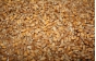 О выявлении энтомологических объектов в пшенице в Тульской области