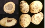 Об ответственности за реализацию семенного картофеля, не соответствующего требованиям ГОСТ