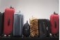 О пресечении попытки ввоза небезопасной продукции в ручной клади и багаже пассажиров в июне