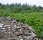 О невыполнении в установленный срок предписания сельскохозяйственным кооперативом в Московской области