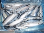 О причинах приостановки оформления около 23 тонн замороженной рыбы, поступившей из Аргентины