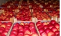 О нарушениях порядка ввоза на территорию Российской Федерации яблок свежих, поступивших из Молдовы 