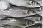 О причинах приостановления оформления готовой рыбной и морепродукции, поступившей из Нигерии