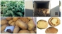 О выявлении опасного карантинного для РФ заболевания в 19,6 тонн картофеля, поступившего в Московский регион из Республики Иран 
