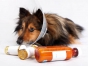 О выявлении несоответствия установленным требованиям качества лекарственных препаратов для ветеринарного применения